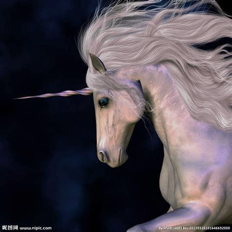 梦幻独角兽图0