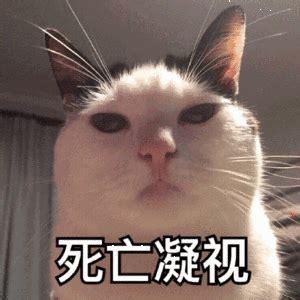 死亡凝视图2