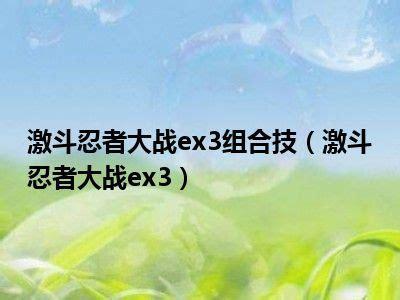 激斗忍者大战ex3图0