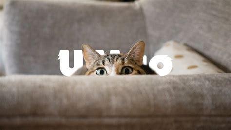 恋爱躲猫猫