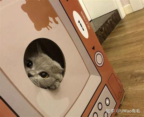恋爱躲猫猫图3