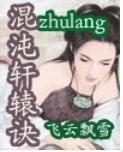 混沌轩辕诀图1