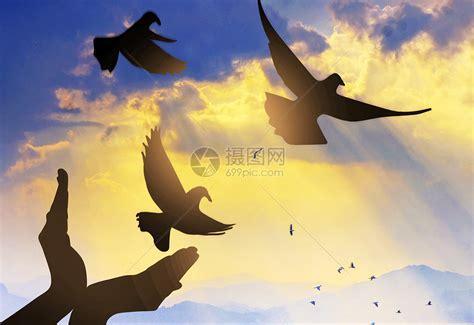 梦想人生图1