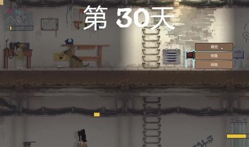 《汉家江湖》张月资料介绍_张月值不值得培养