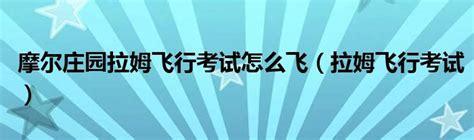 拉姆飞行考试